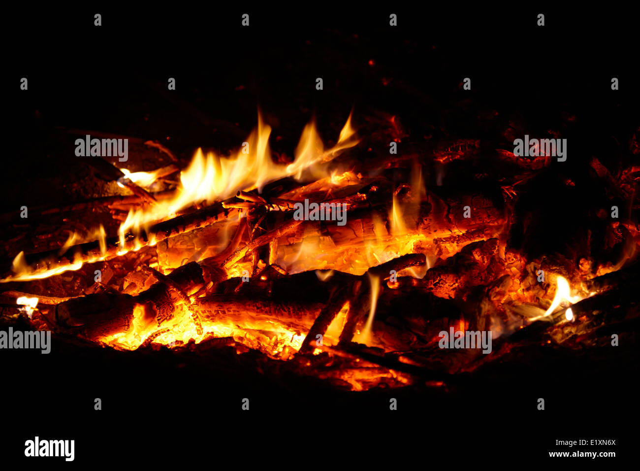 burning eucalyptus wood in an intense camp fire los pellines chile Stock Photo