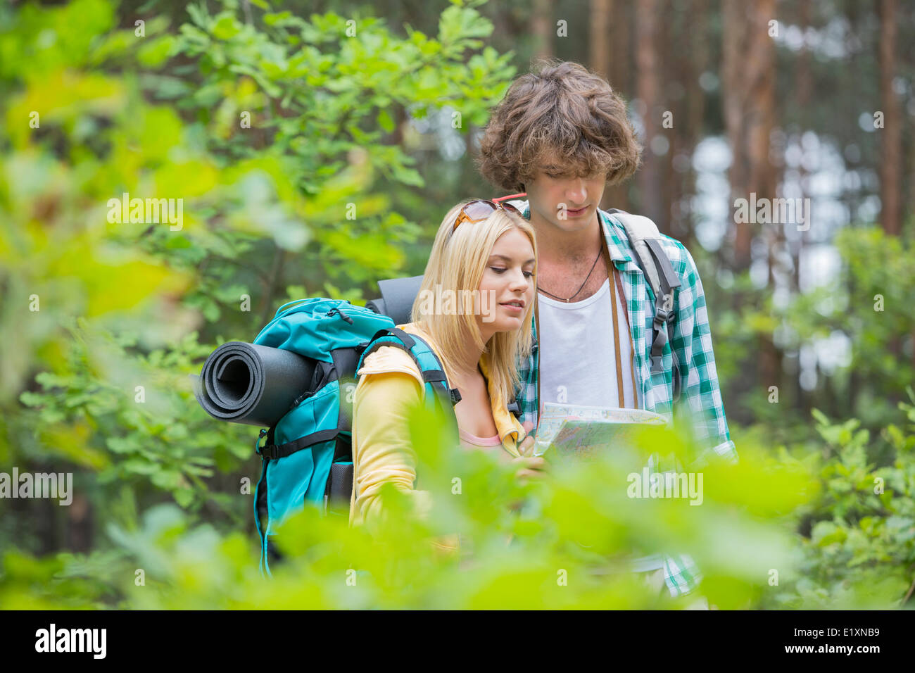 Hiking couple reading map together in forest Stock Photo