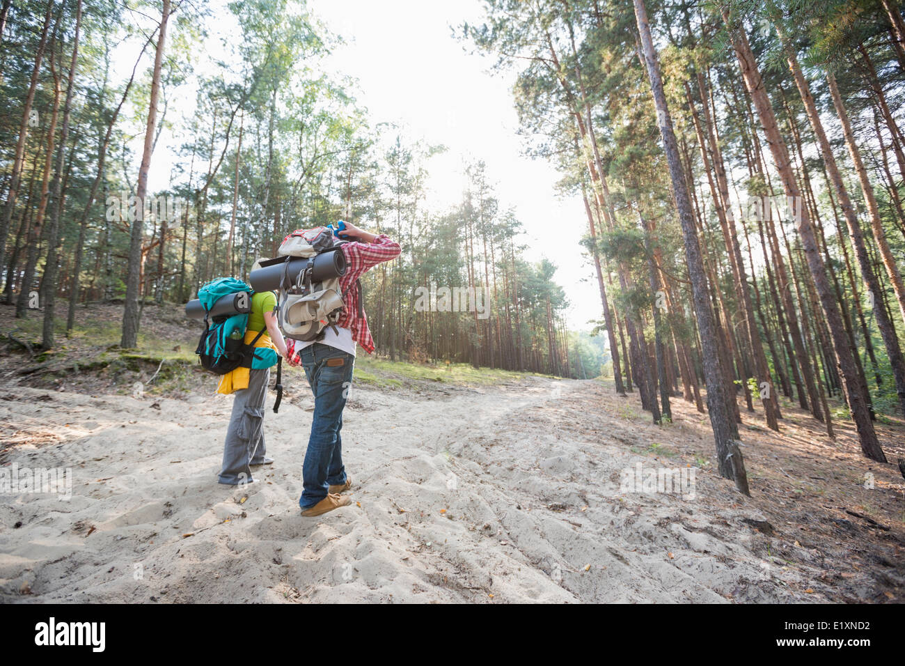 Rear view of hiking couple holding hands while walking in forest Stock ...