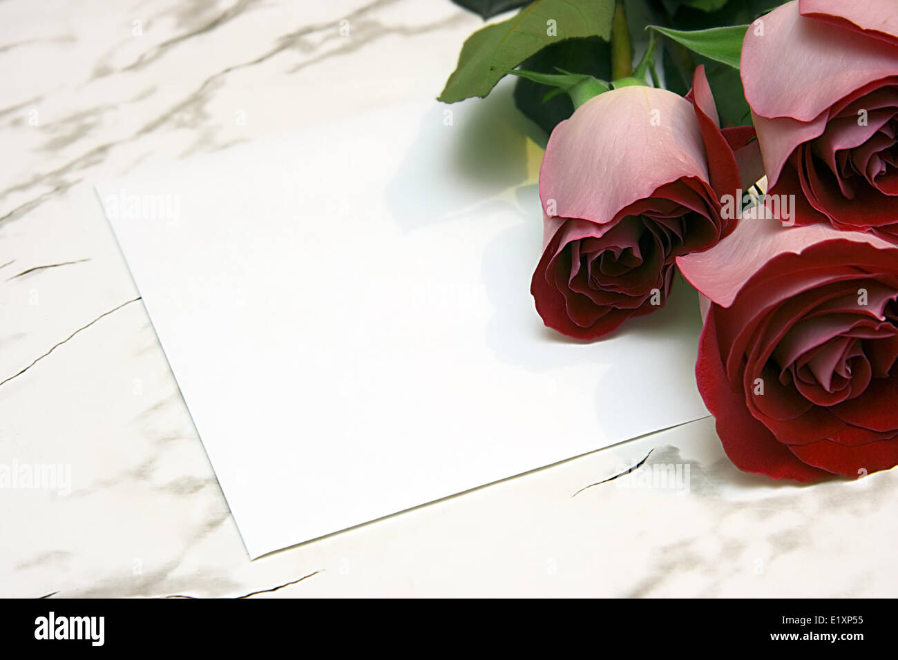 Three red roses hi-res stock photography and images - Alamy