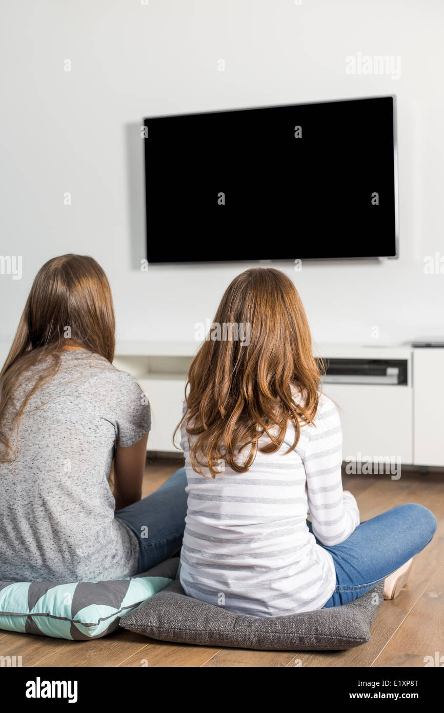 Rear view of sisters watching TV at home Stock Photo - Alamy