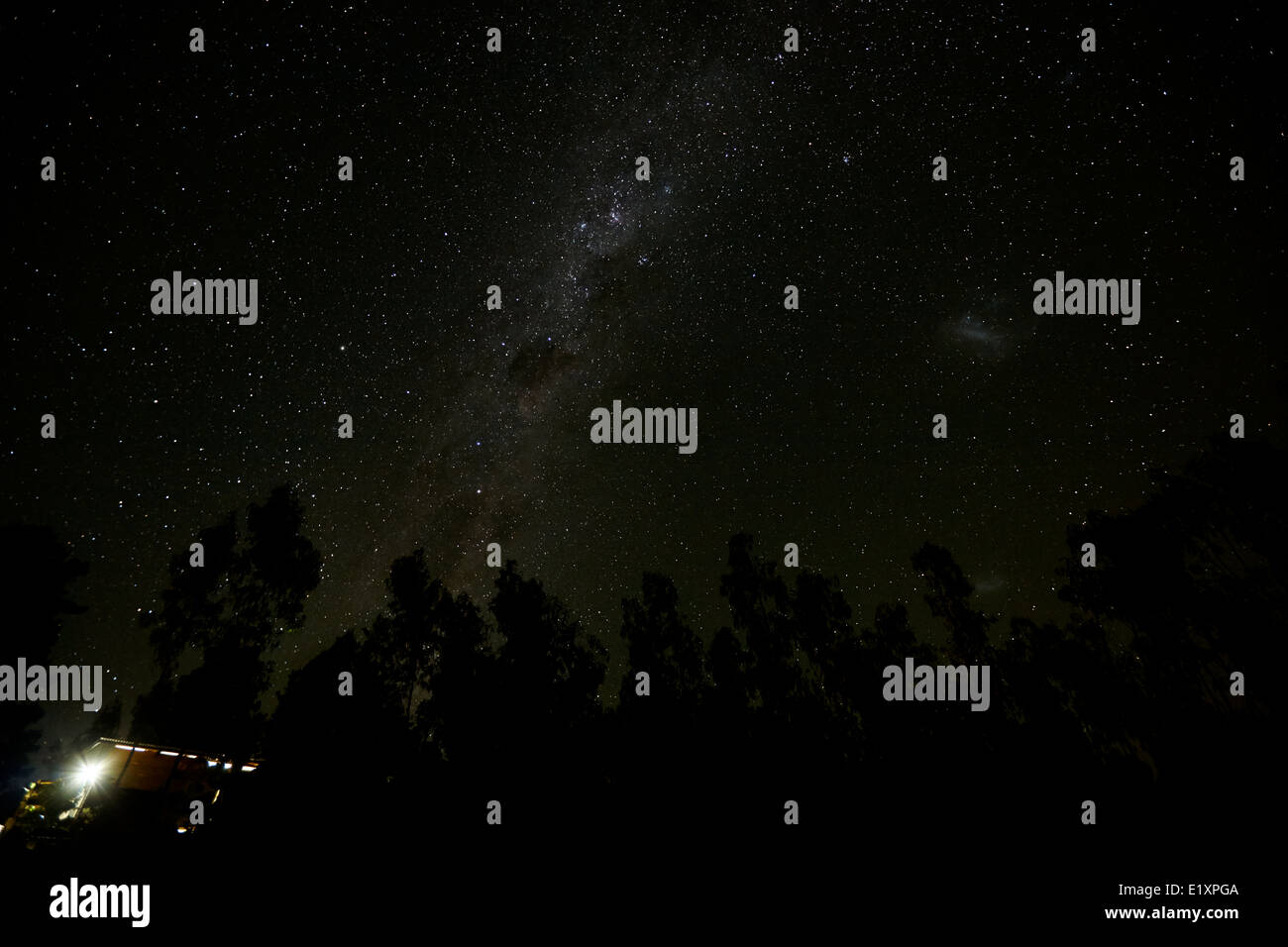 milky way and stars in the sky over woods in los pellines chile Stock Photo