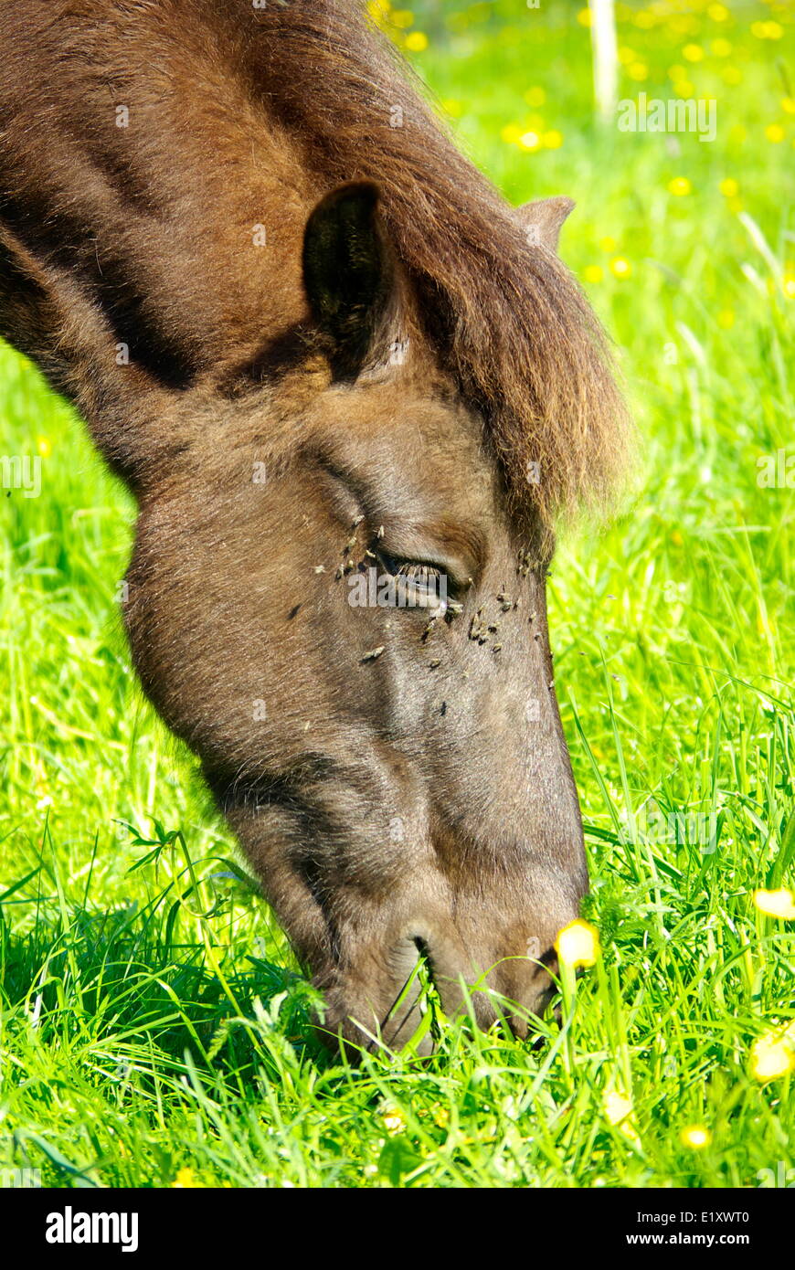 Ohne Erde High Resolution Stock Photography and Images - Alamy