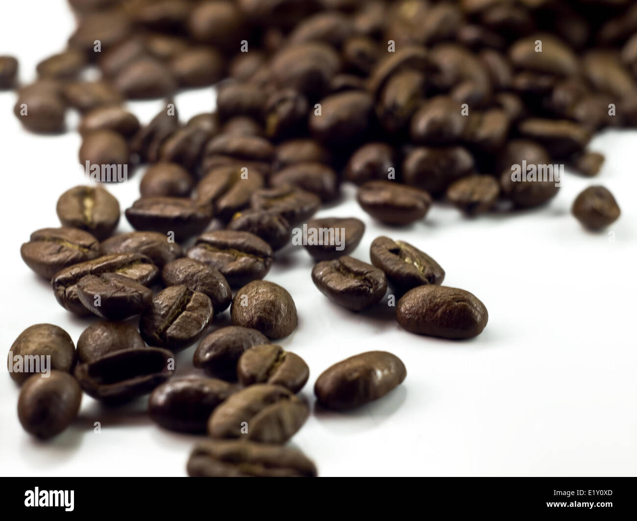 Kaffee im Fokus Stock Photo