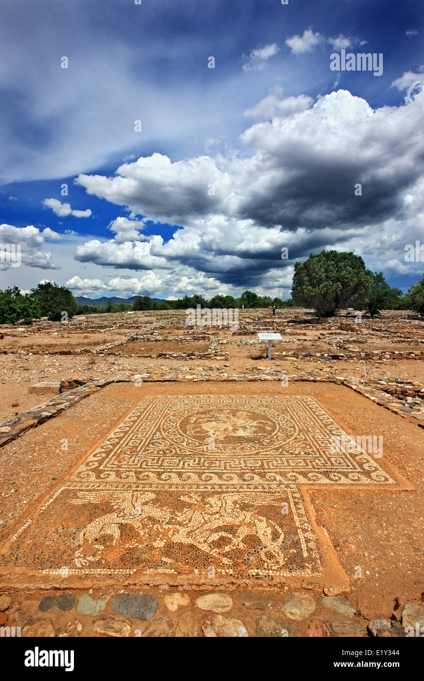 Beautiful mosaic at Ancient Olynthos (Olynthus), Polygyros municipality