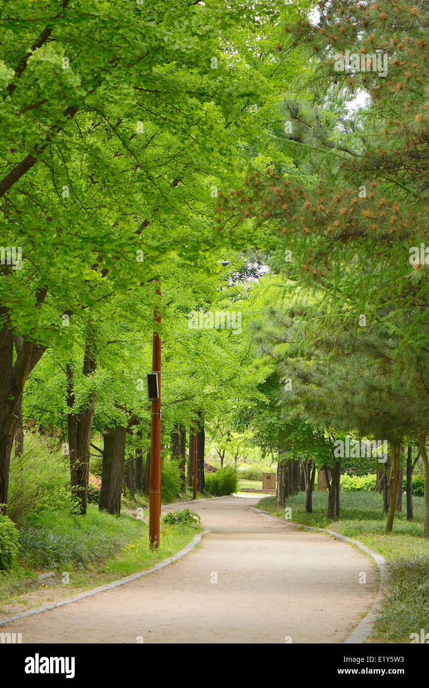 curved path in the seonyudo park in Seoul, Korea Stock Photo