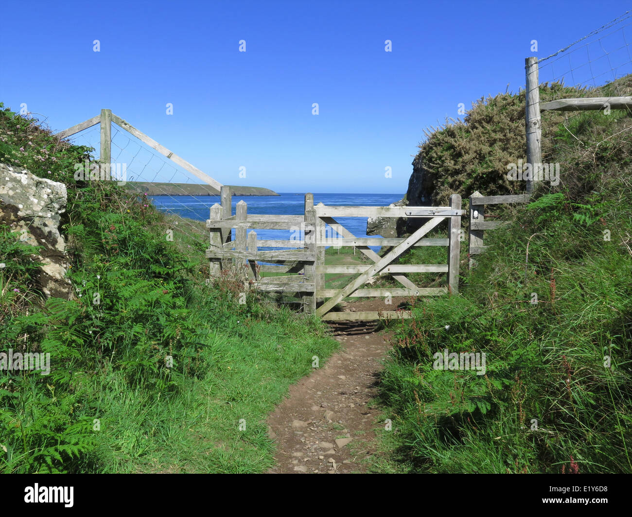 Gate on the Pembrokeshire Coast Path, Wales, UK Stock Photo