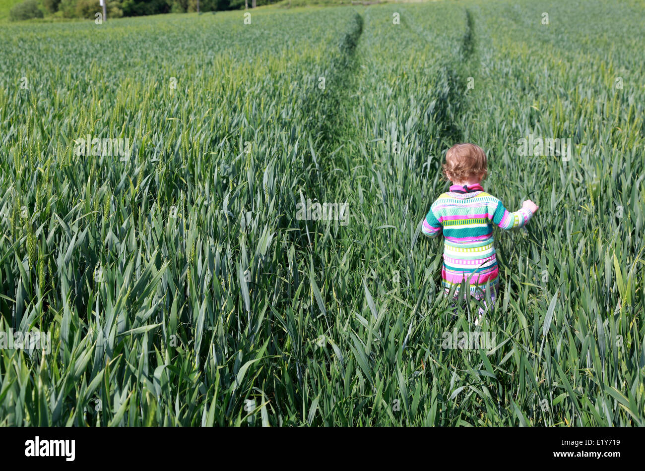 Toddler playing outside in a field of Long grass Stock Photo Alamy