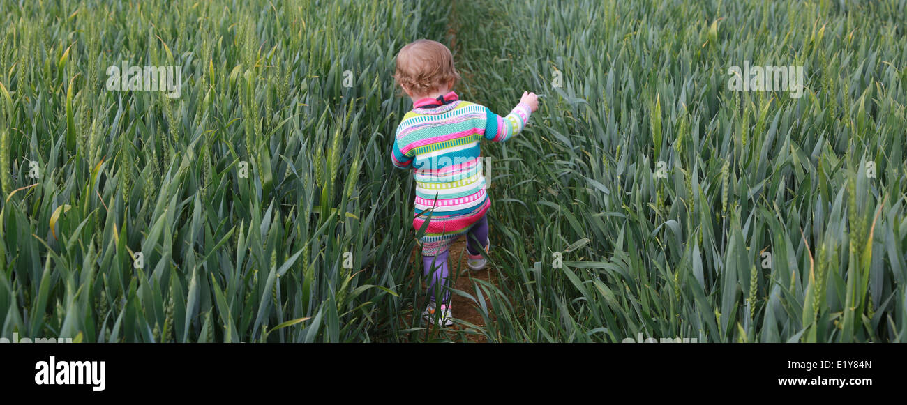 Toddler playing outside in a field of Long grass Stock Photo Alamy