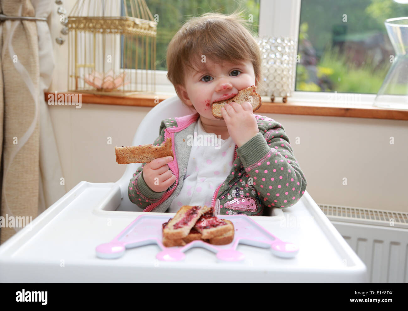 Toddler in highchair eating jam sandwiches Stock Photo Alamy