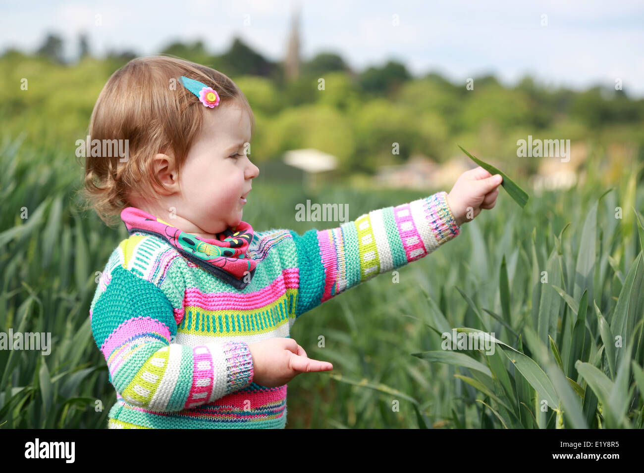Toddler playing outside in a field of Long grass Stock Photo Alamy