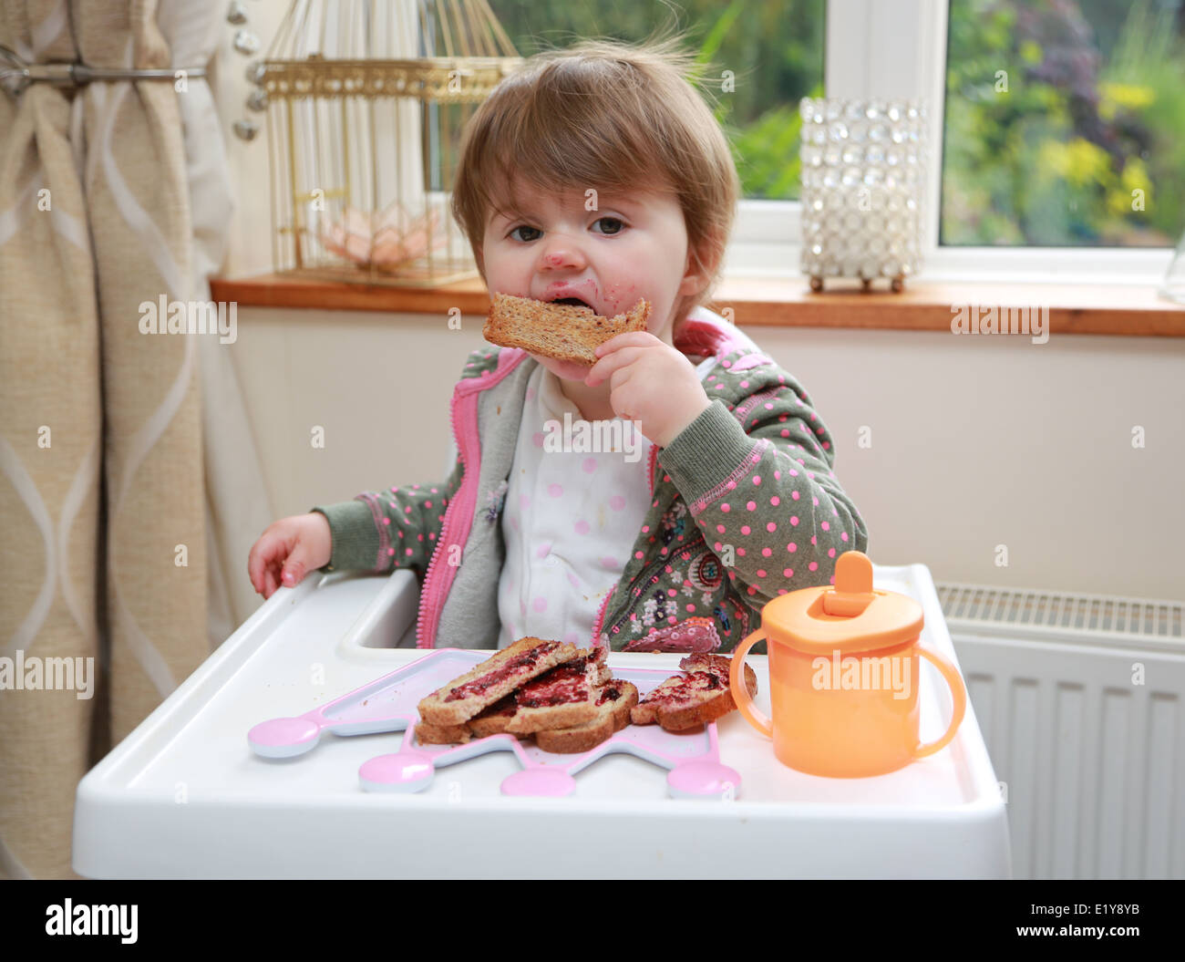 Toddler in highchair eating jam sandwiches Stock Photo Alamy