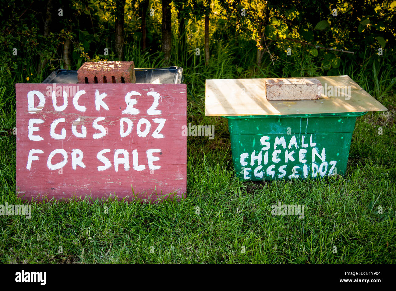 Signs advertising duck and chicken eggs for sale, on a lane near Church Stretton, Shropshire Stock Photo