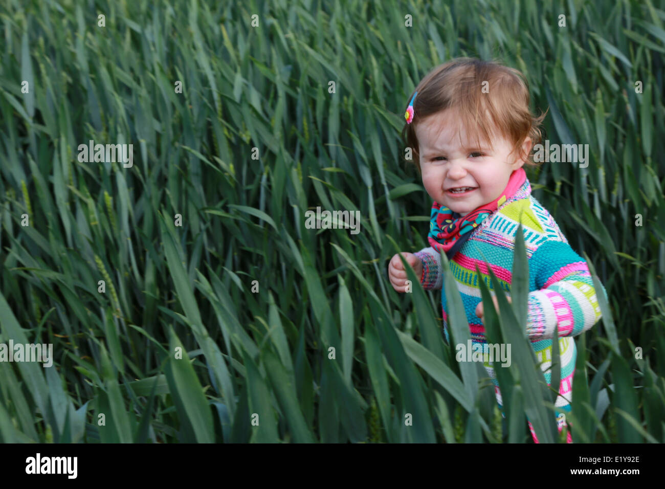 Toddler playing outside in a field of Long grass Stock Photo Alamy