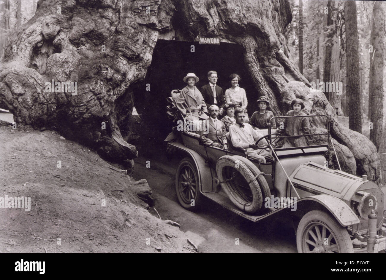 USA California CA Yosemite National Park vintage photo of tourists being driven through Wawona Tunnel big tree redwood Stock Photo