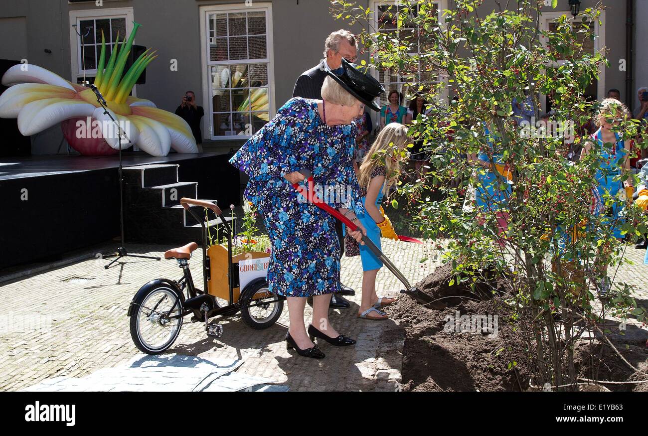 Dutch Princess Beatrix  plants a tree as she opens the Dutch National Garden Week in Delft, The Netherlands, 11 June 2014. Aim of the week is to enthusiast people for gardening. Credit:  dpa picture alliance/Alamy Live News Stock Photo