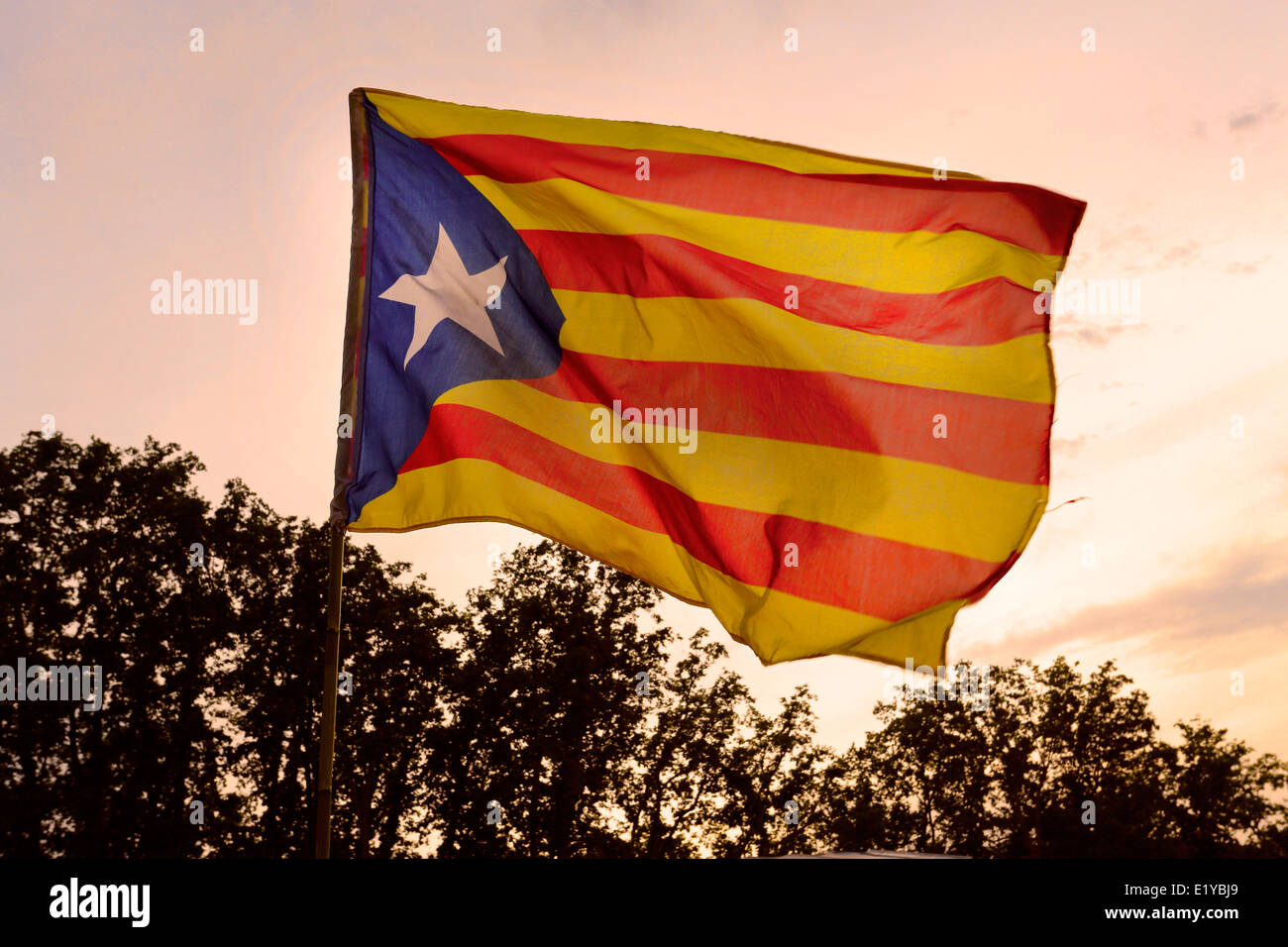 Catalan Independence Flag Stock Photo