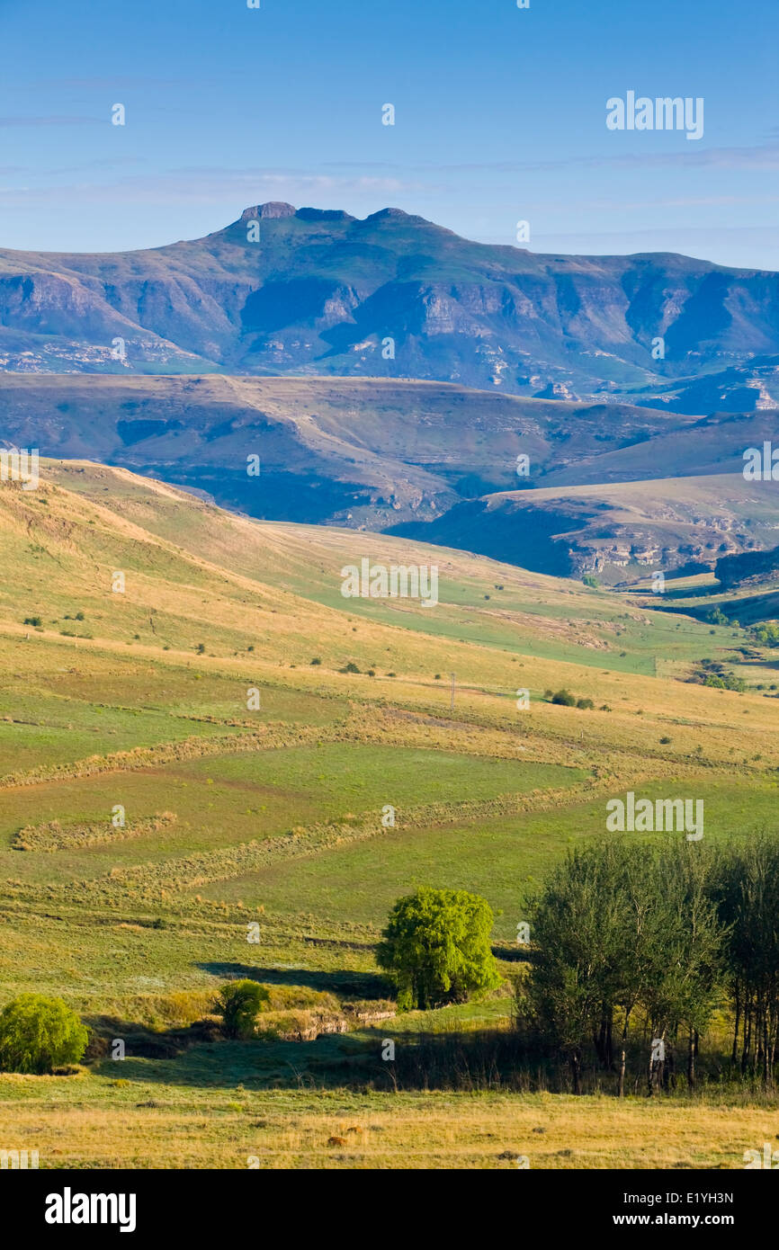 Near Clarens, Free Orange State, Drakensberg, South Africa Stock Photo