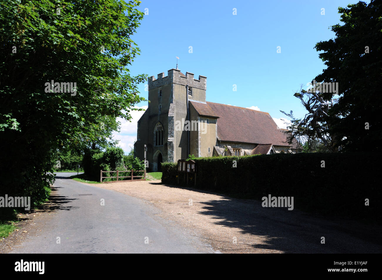 Birdham Church near Chichester West Sussex with a twisted cypress tree a conifer believed to be over 350 years old Stock Photo