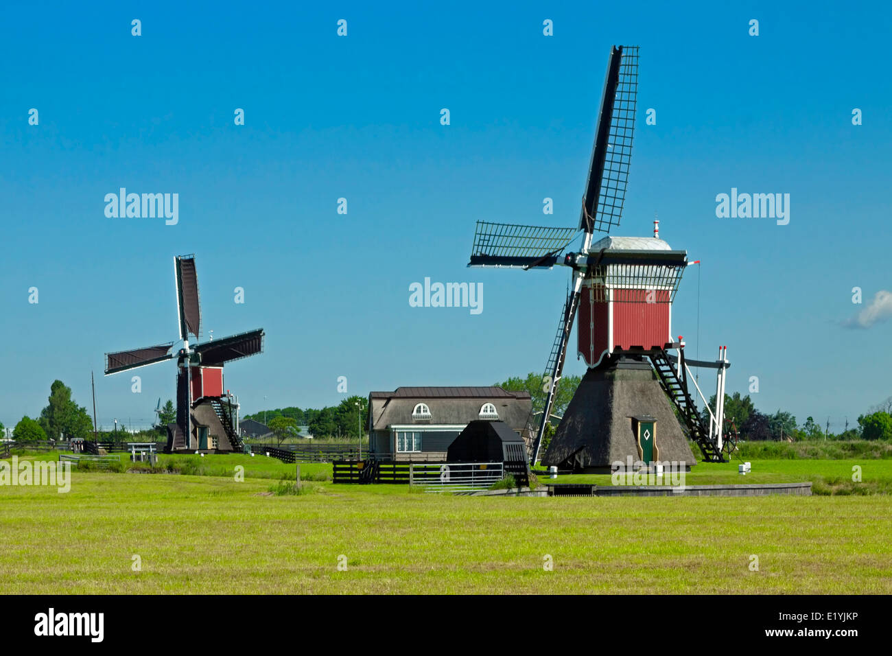 Kalkmolen and Doesmolen: Two historic windmills in the green heart of South Holland, The Netherlands on a sunny day in spring. Stock Photo