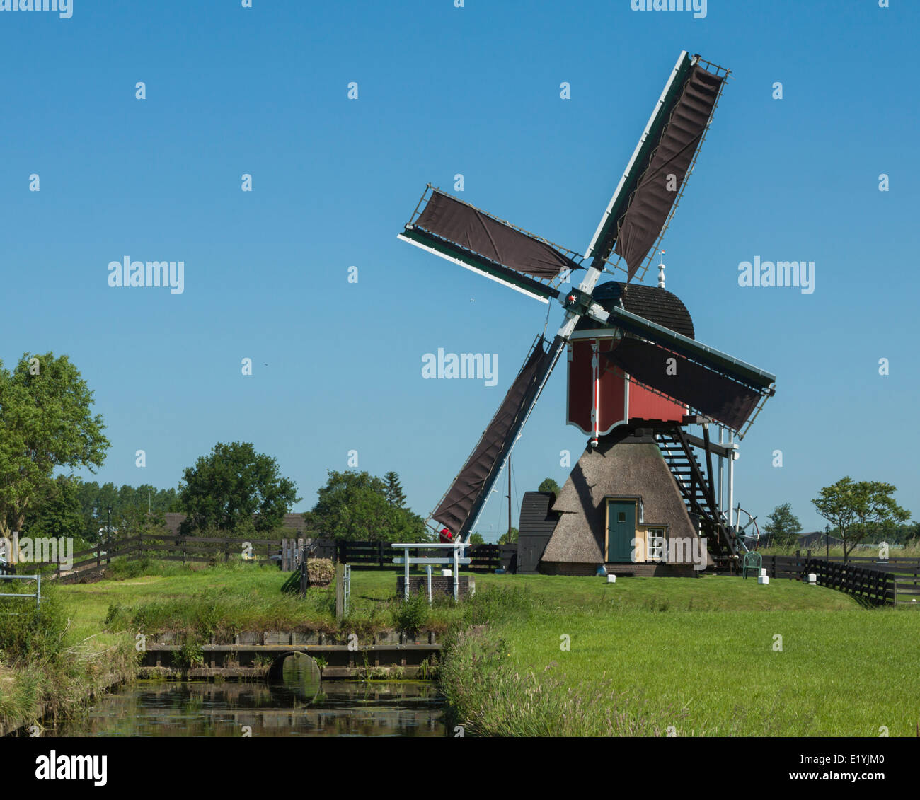 Doesmolen: A historic windmill in the green heart of South Holland, The Netherlands on a sunny day in spring. Stock Photo