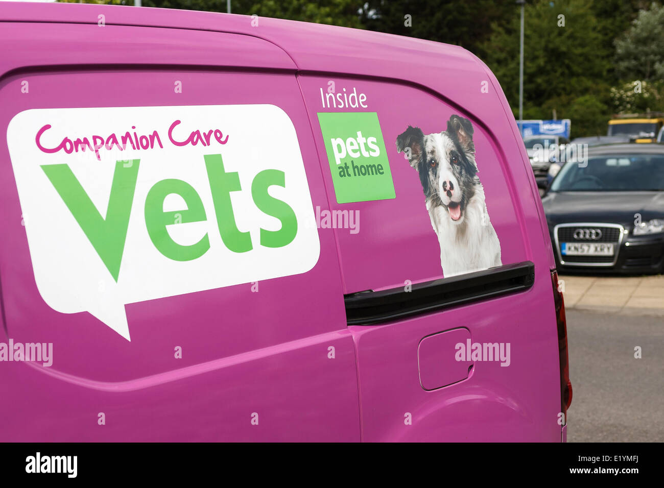 pets at home companion care