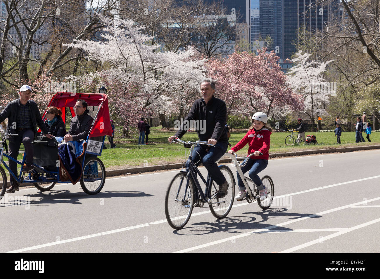 Recreational Activity, Center Drive, Central Park, NYC Stock Photo Alamy