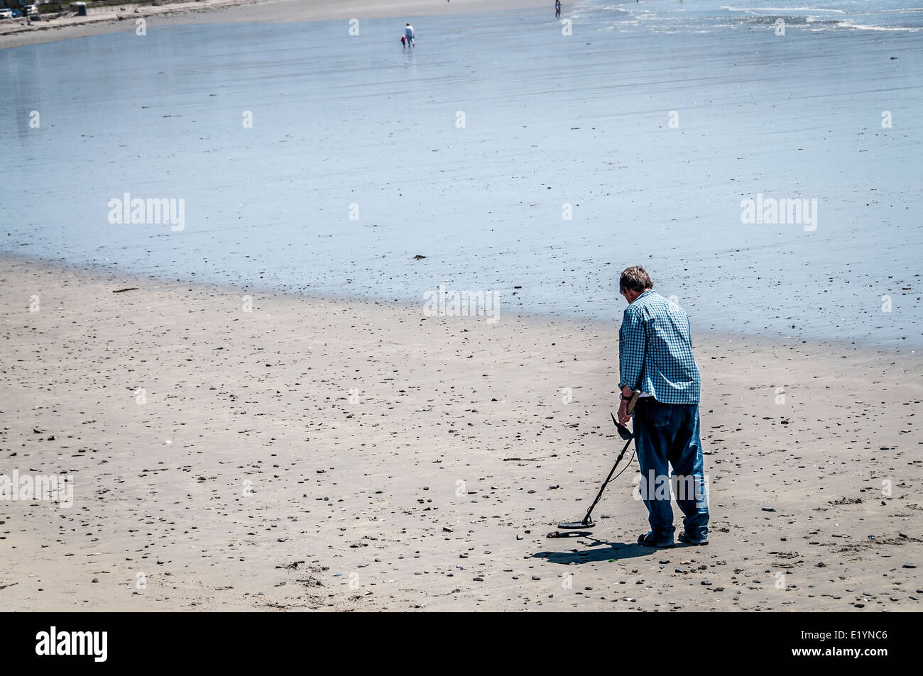 Treasure Hunter, This man with his metal detector has a very large area to do some treasure hunting, now at low tide. Stock Photo