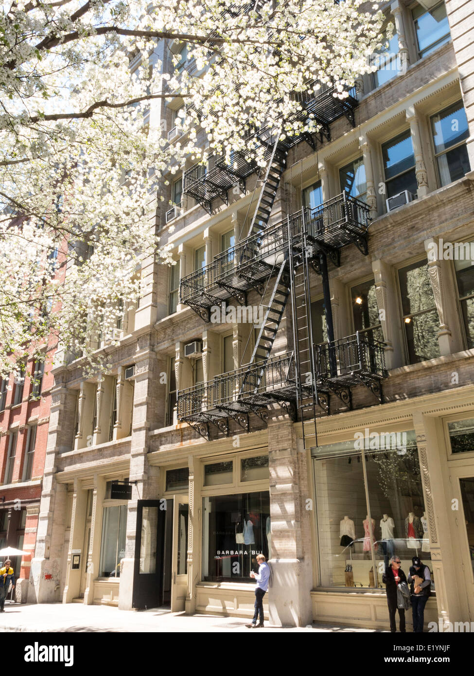 Building Facade and spring flowering Trees, SoHo-Cast Iron Historic District, NYC Stock Photo