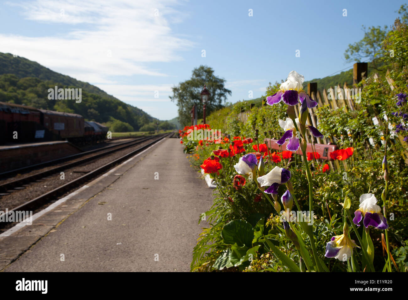 Flowers on the platform at Levisham station on the North Yorkshire