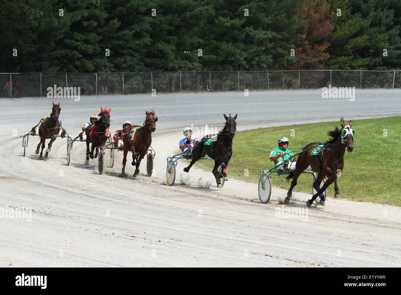 Horse harness racing hires stock photography and images Alamy