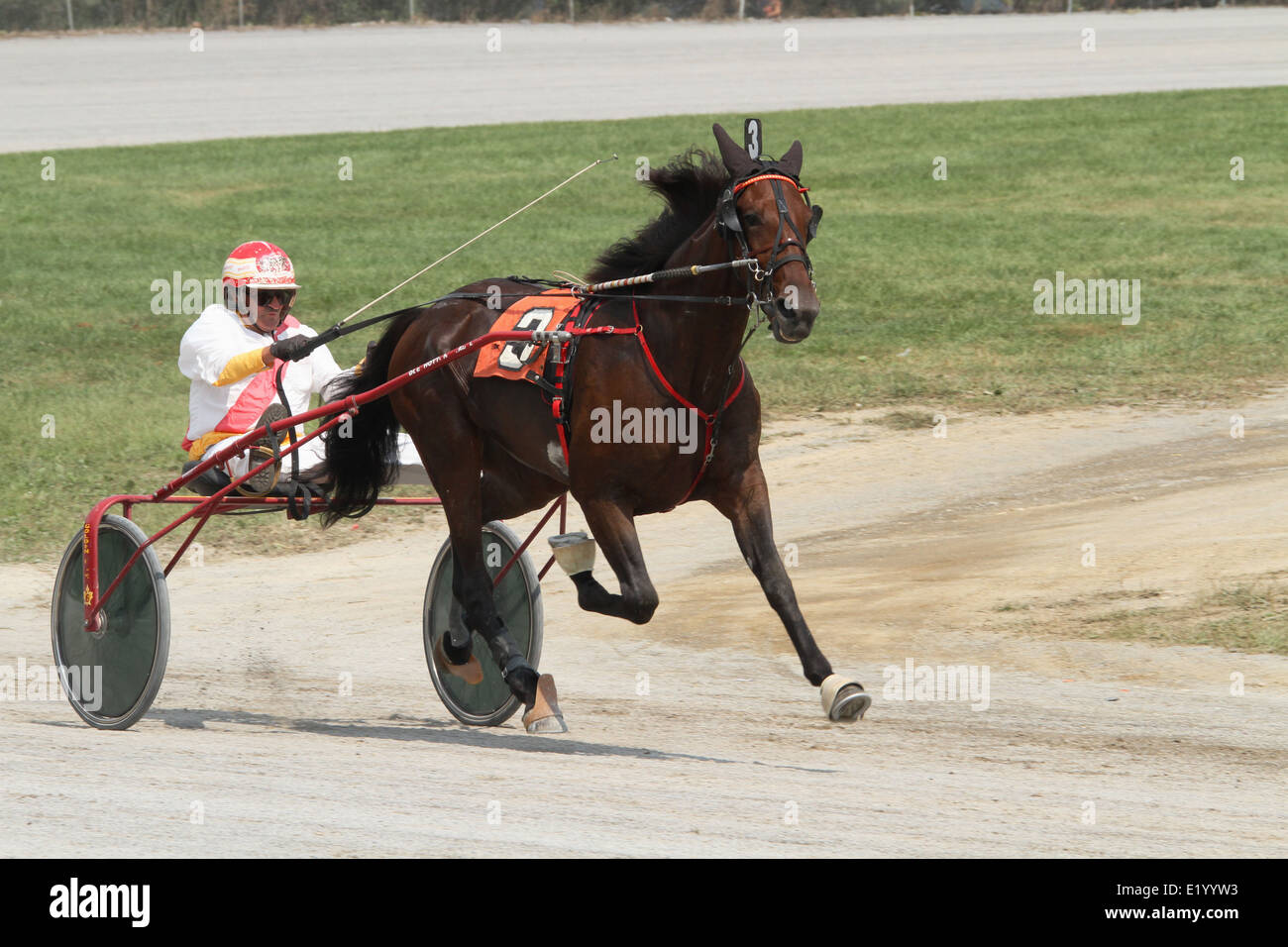 Horse Harness Racing. Canfield Fair. Mahoning County Fair. Canfield, Youngstown, Ohio, USA Stock