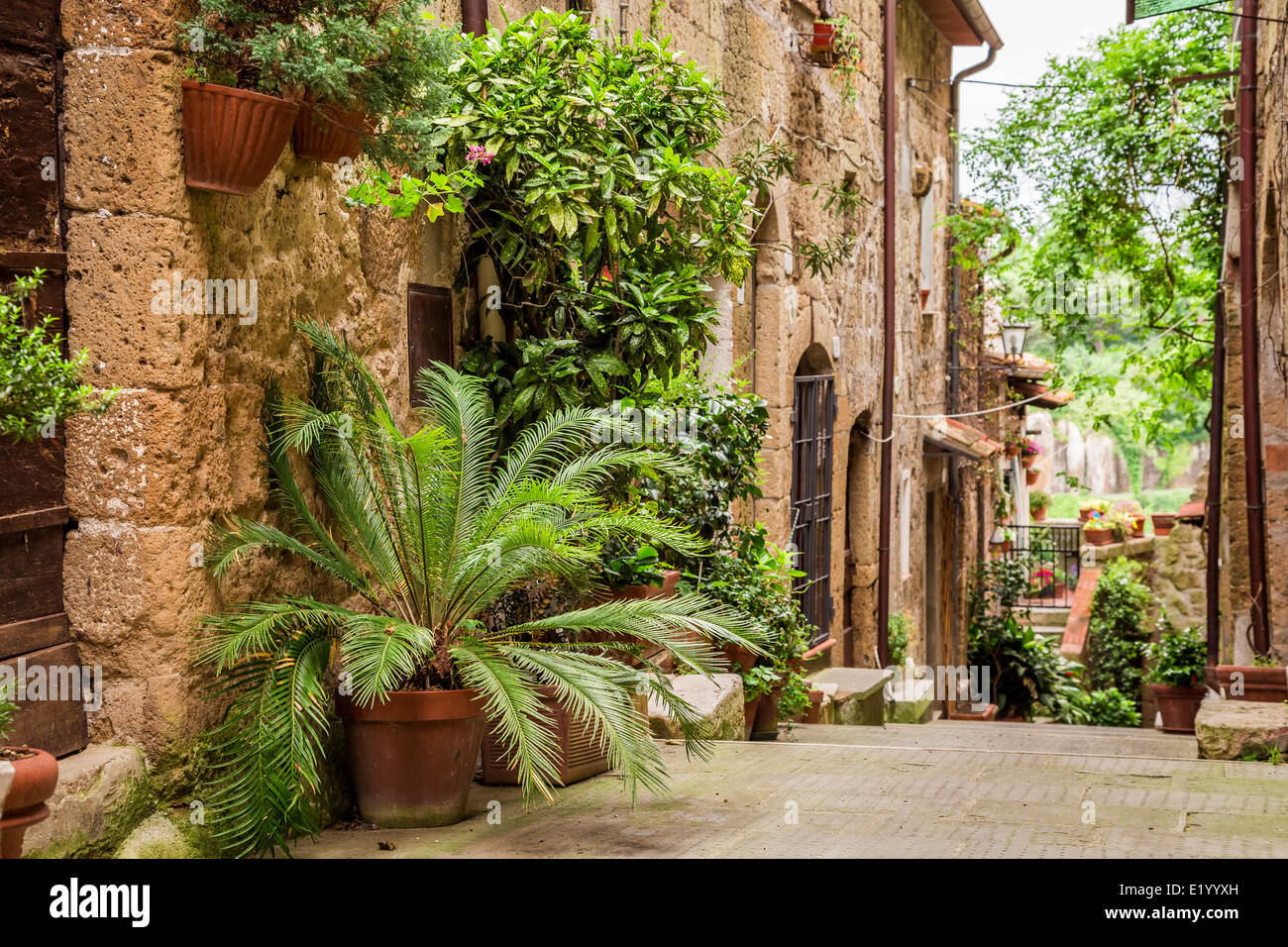 Tuscan Street in the city full of flowery porches Stock Photo - Alamy