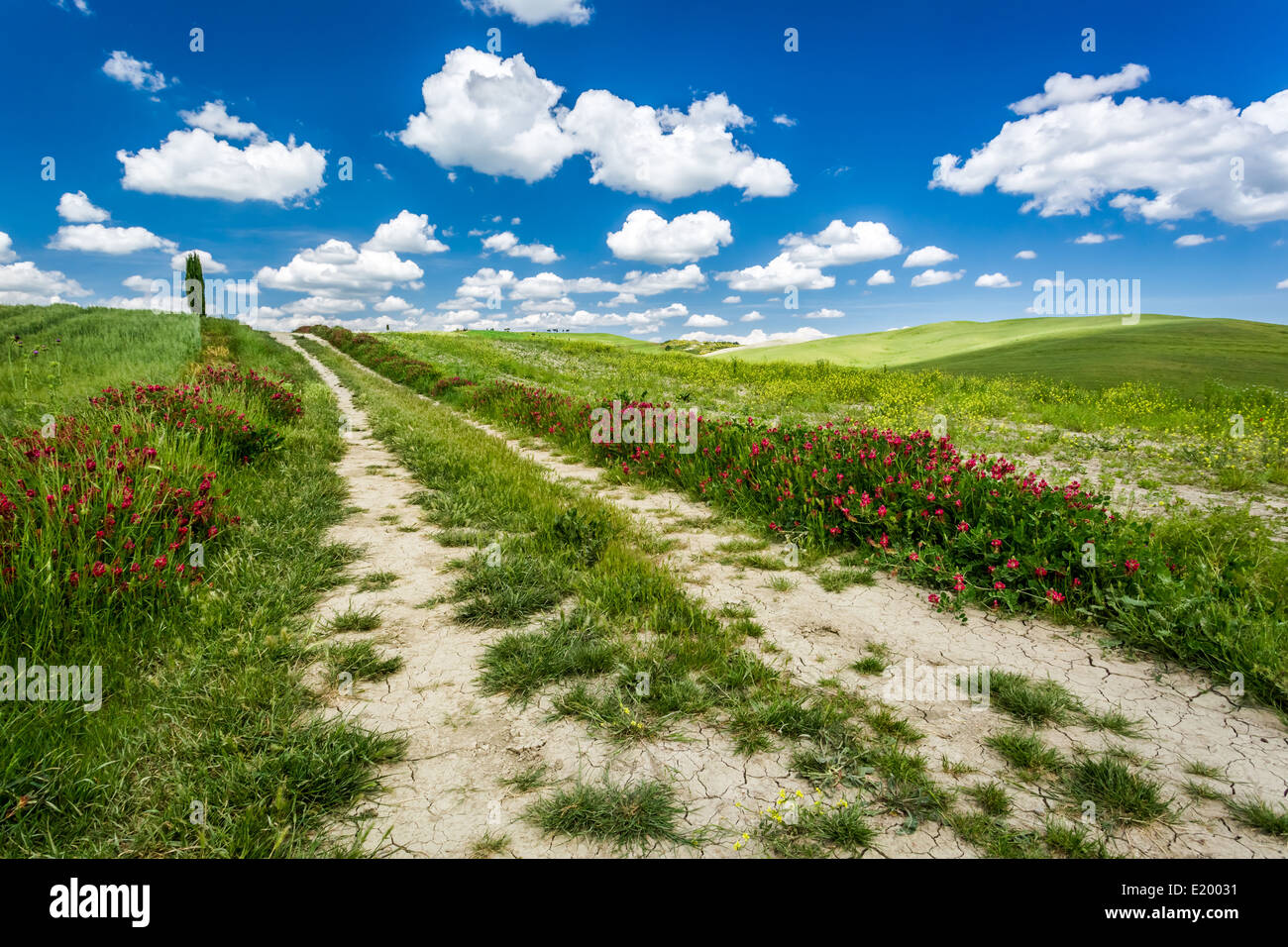 Country road between green hills Stock Photo - Alamy