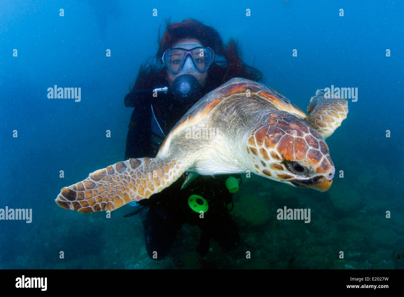 Marine turtle (Caretta caretta) and diver in Nerja (Málaga) a small village in the Mediterranean sea Stock Photo