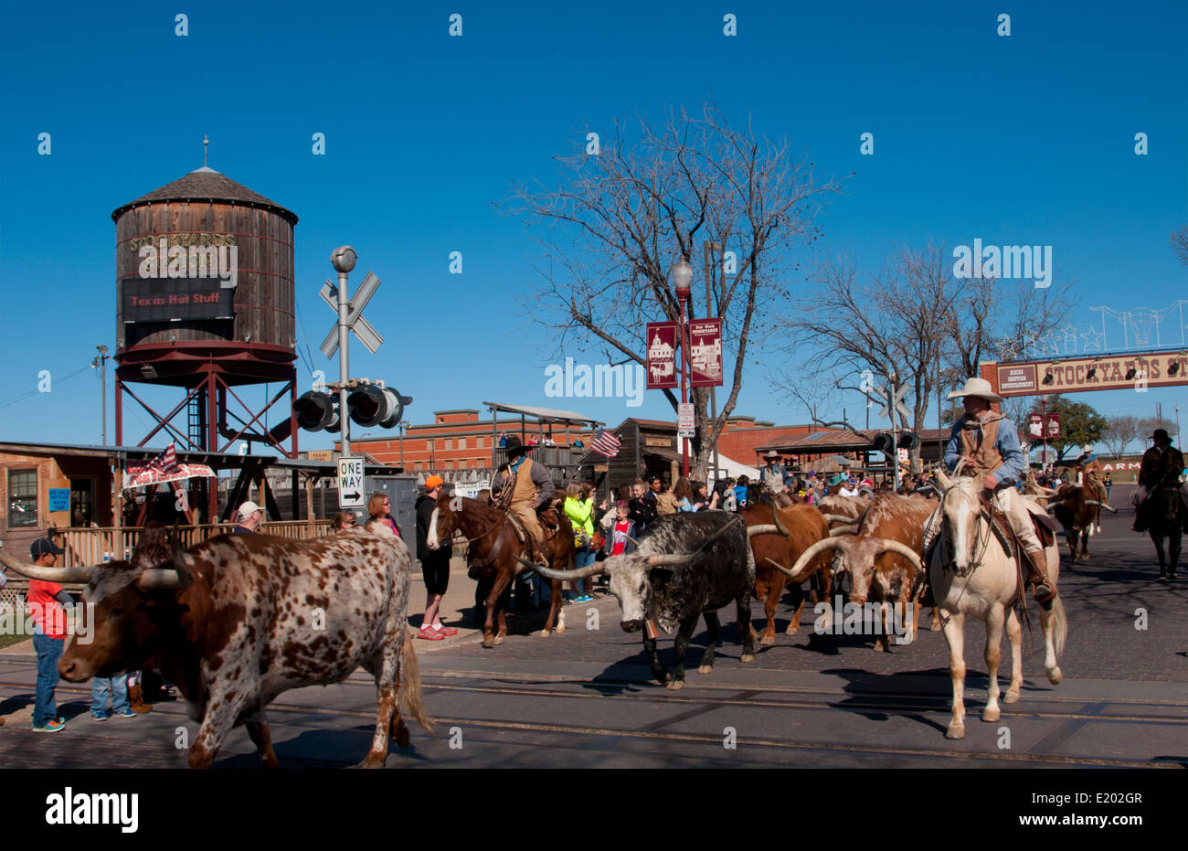 Ft Worth Texas with the famous The Stockyard on Main Street with