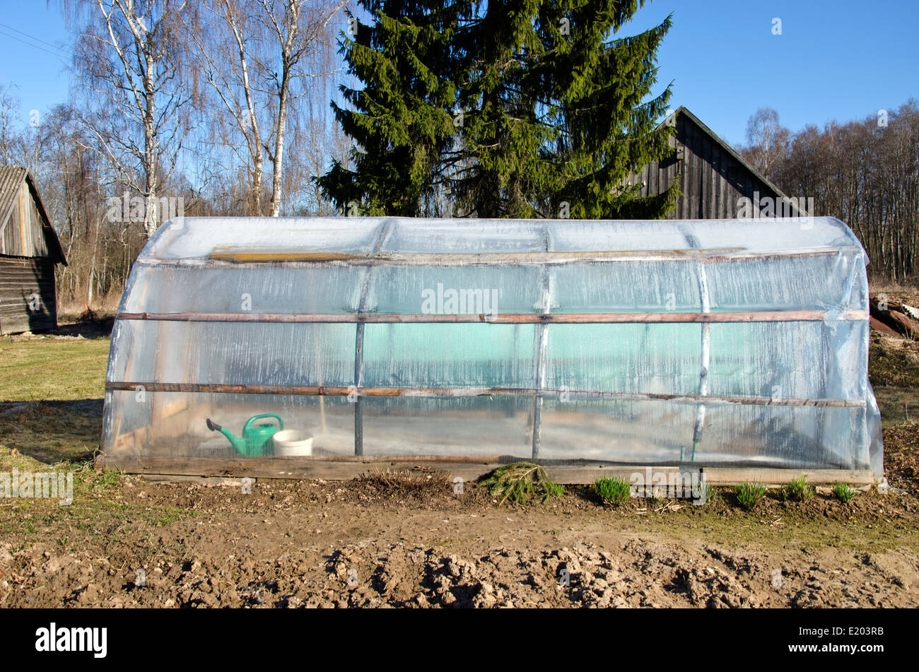 plastic old greenhouse hothouse in spring farm garden Stock Photo - Alamy
