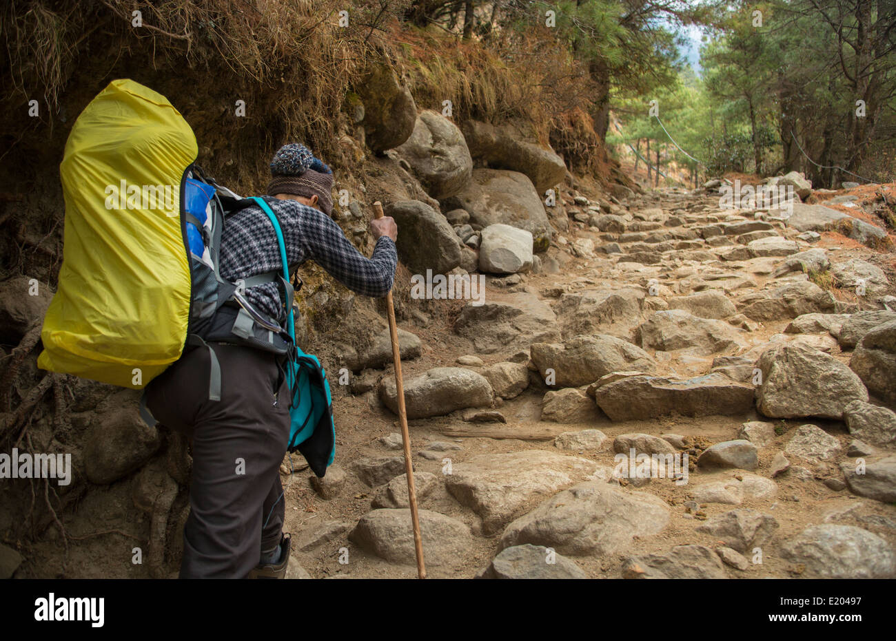Nepal Himalayas Trekker walking up steep stairway in Solukhumbu remote Mt Everest 68 Stock Photo