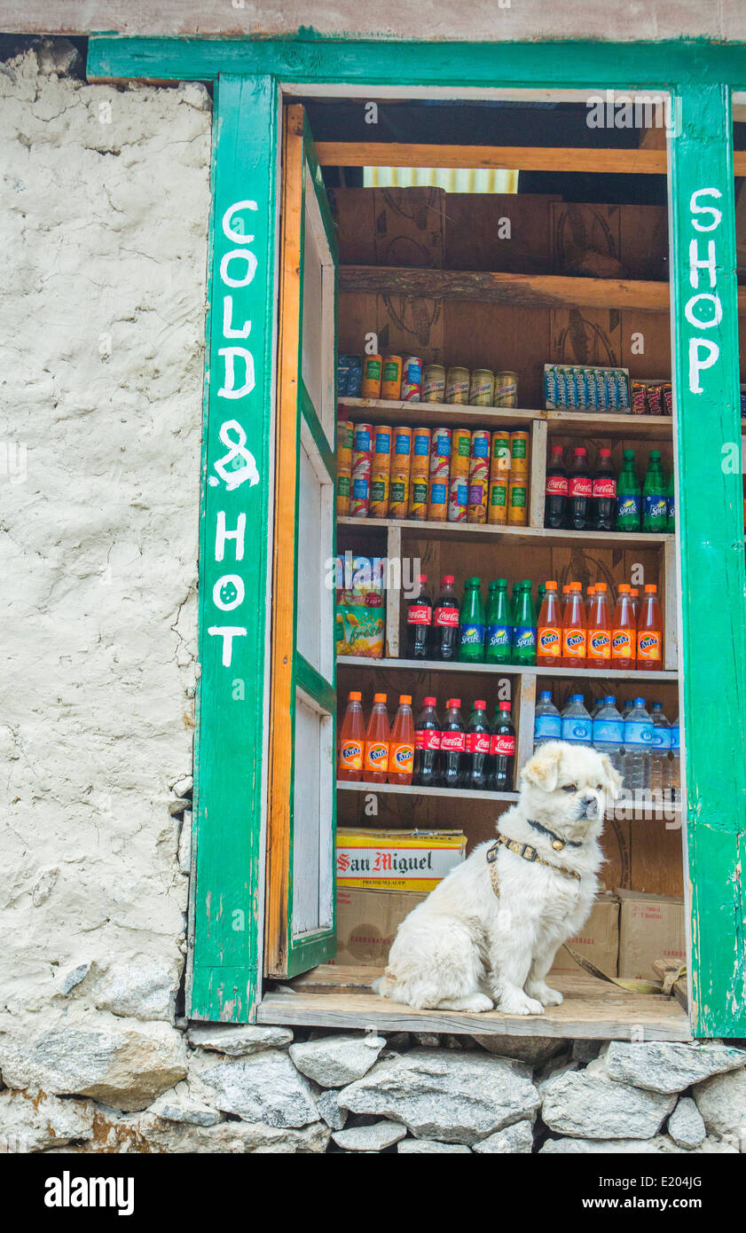 Nepal A guard dog standing watch at a small store in Soso Kharka Solukhumbu, remote, Mt Everest, Himalayas Stock Photo