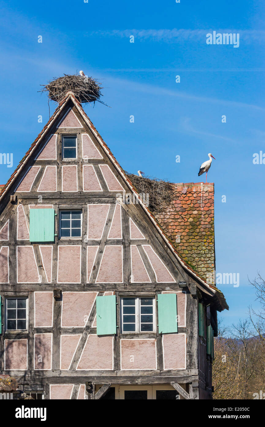 stork nests on the roof of a half-timbered house, écomusée d´alsace, ungersheim, alsace, france Stock Photo