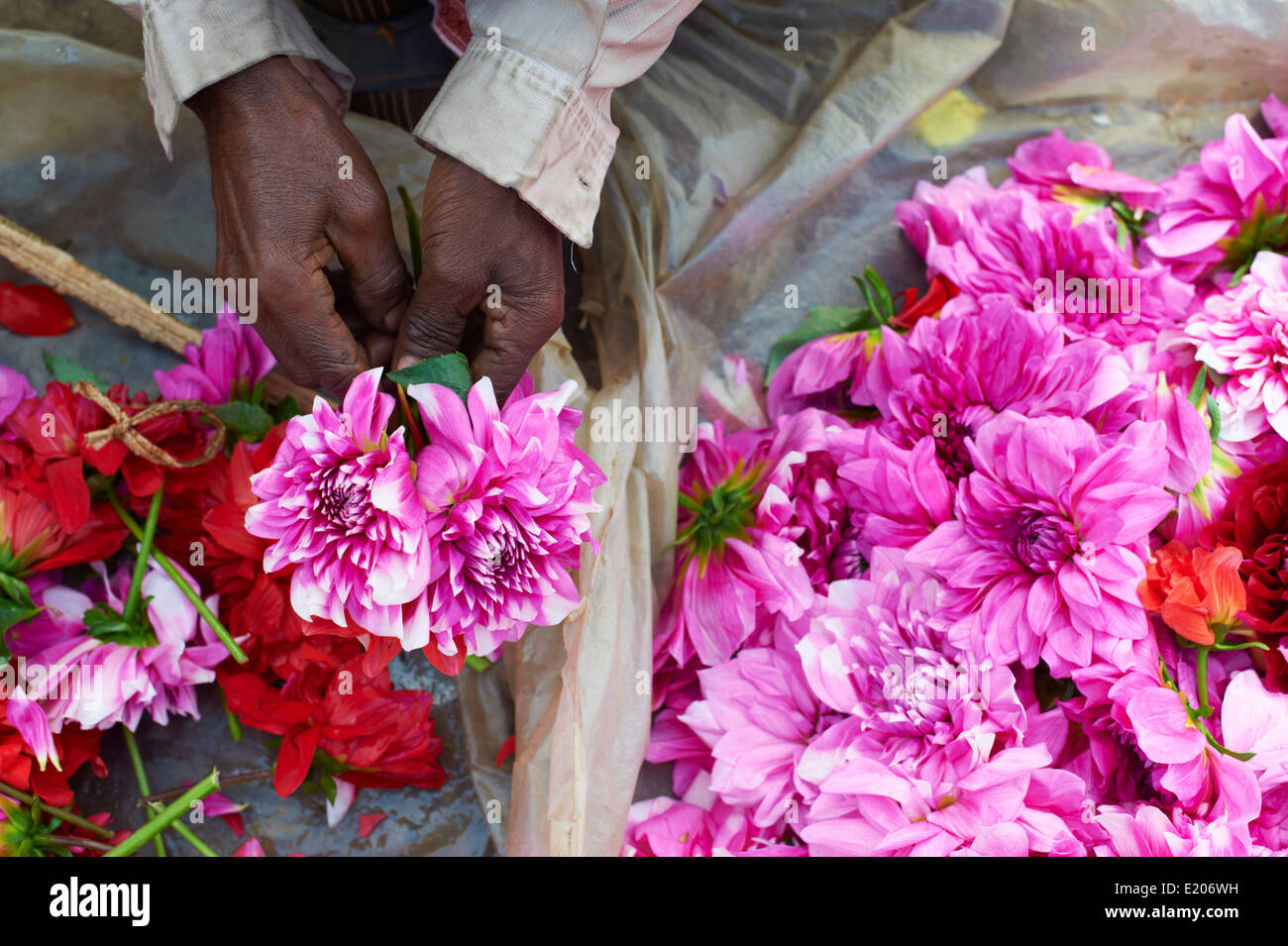 India, West Bengal, Kolkata, Calcutta, Mullik Ghat flower market Stock