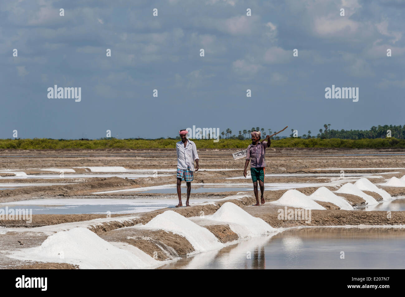 Saline workers, salt production, saltworks, near Thazhankadu, Tamil