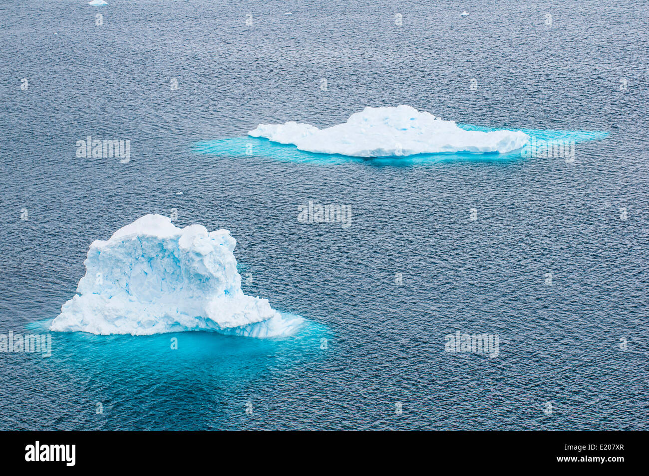 Small floating icebergs, Danco Island, Antarctica Stock Photo