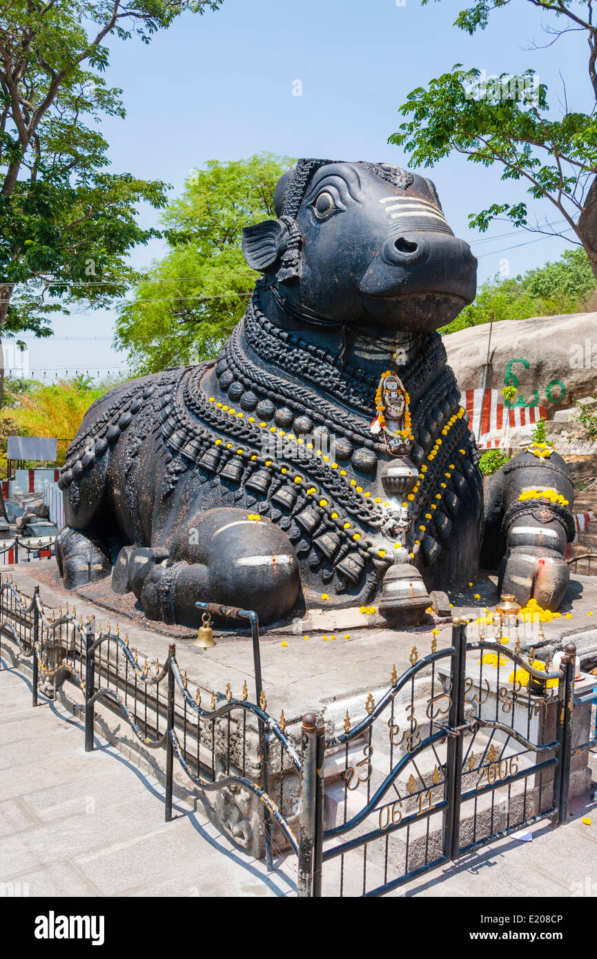 Statue of a decorated holy cow, Nandi Bull, Chamundi Hill, Mysore