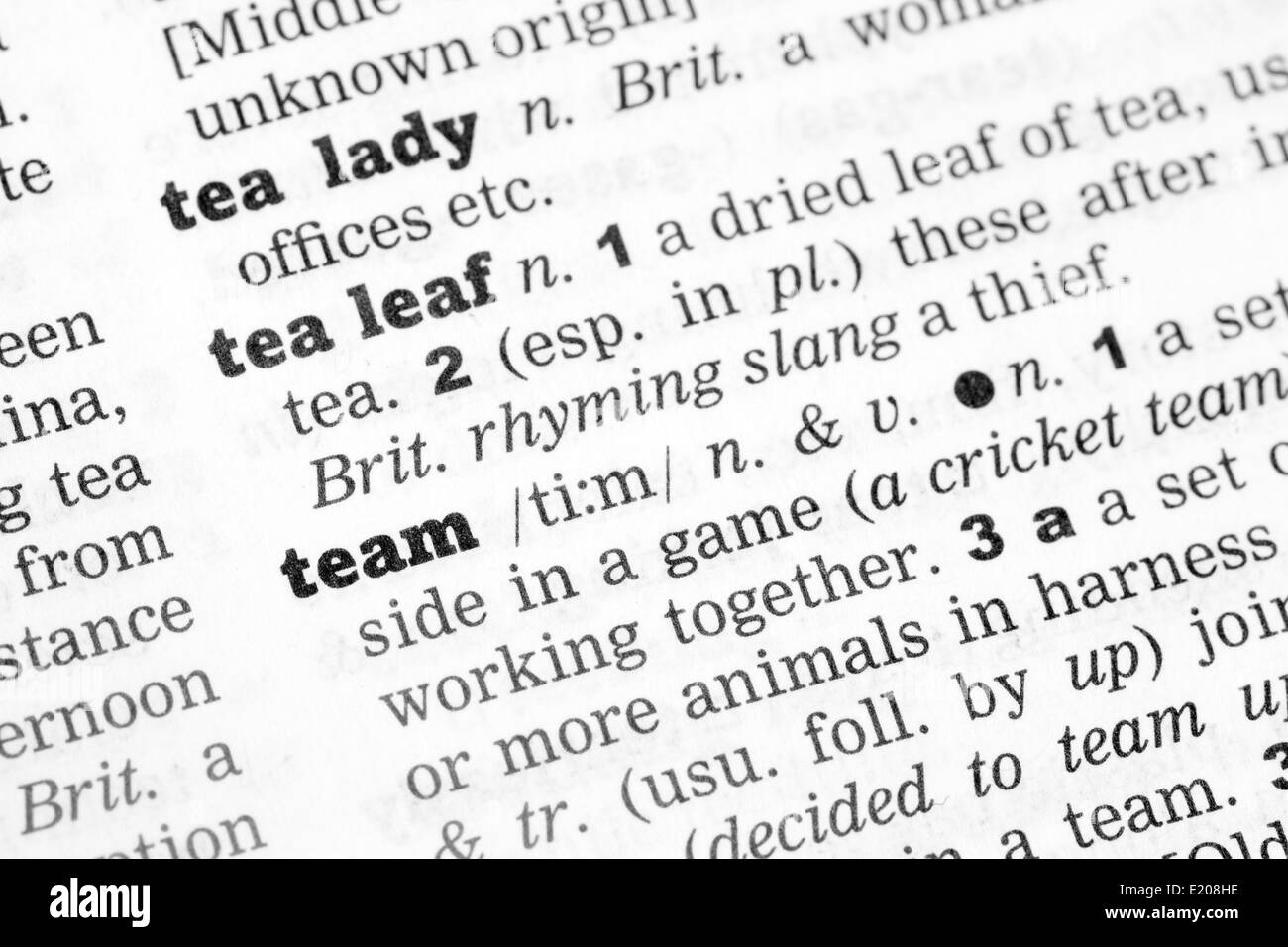 Team Dictionary Definition single word with soft focus Stock Photo Alamy