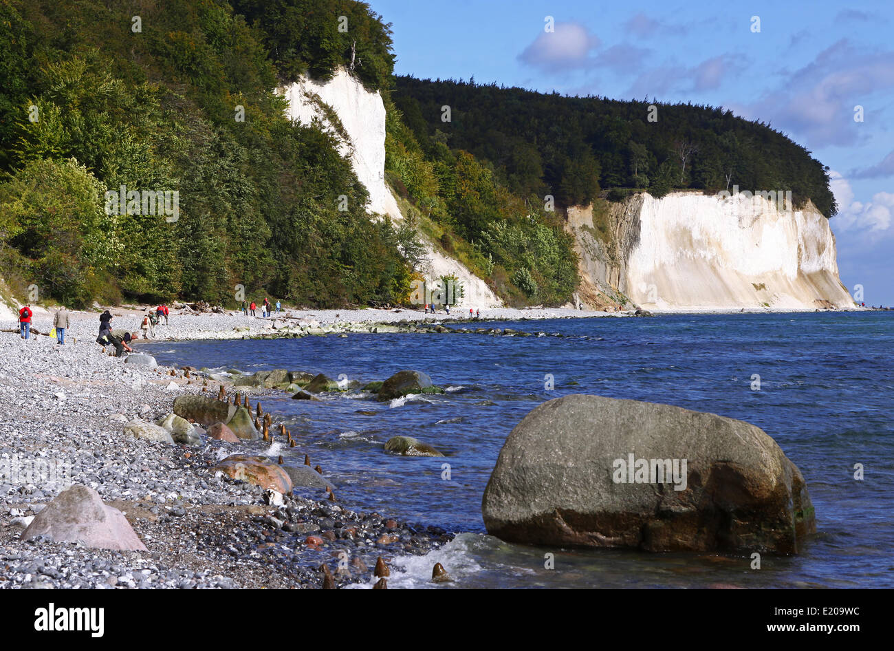 chalk coast Rügen Germany Stock Photo - Alamy