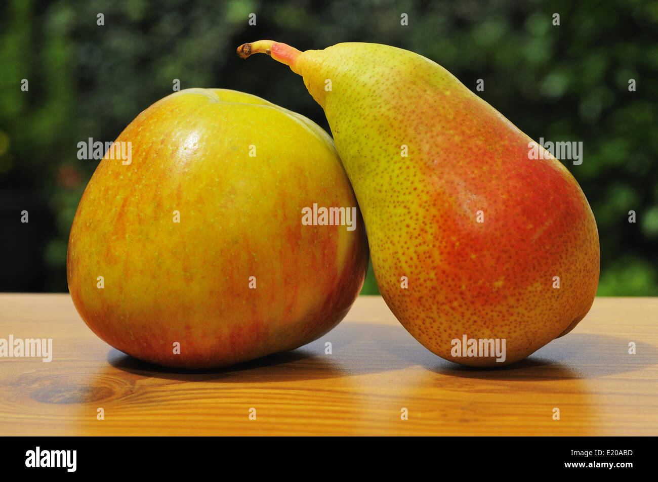 Pear and apple. Stock Photo
