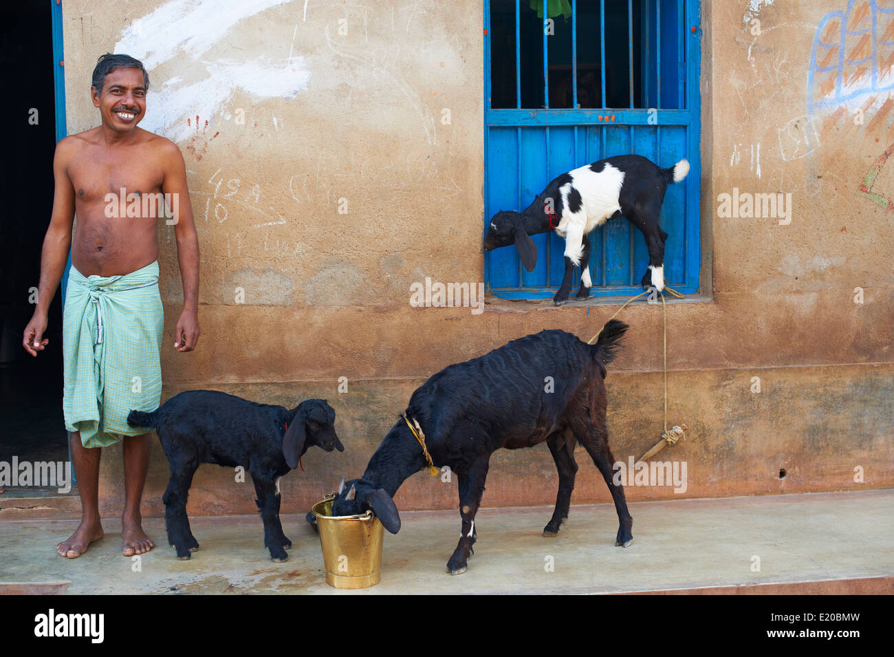 India, West Bengal, village around Jangipur Stock Photo