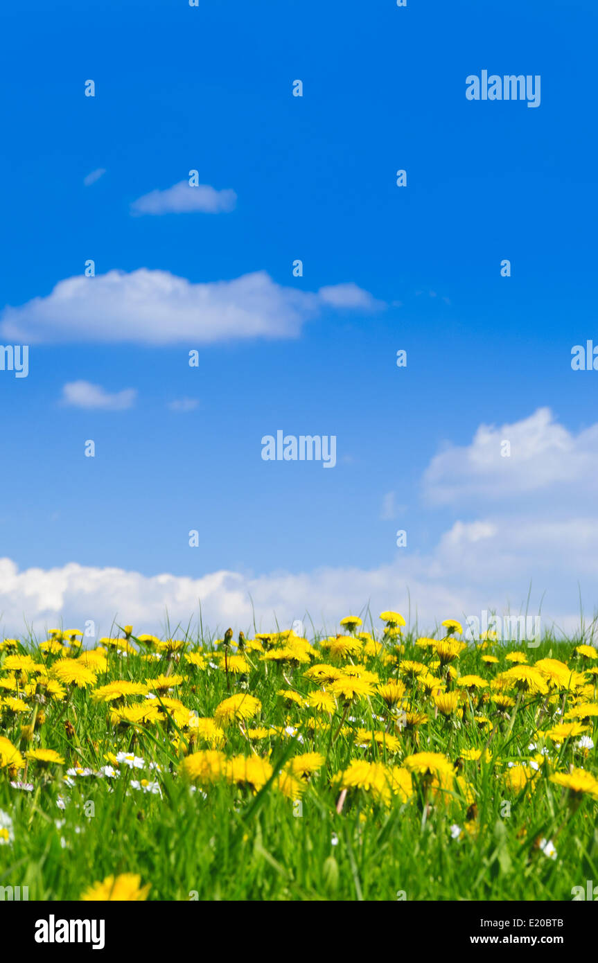 Freiheit spring hi-res stock photography and images - Alamy