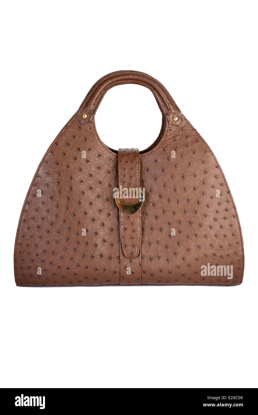 Woman glamor handbag hi-res stock photography and images - Alamy
